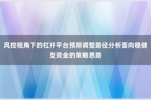 风控视角下的杠杆平台预期调整路径分析面向稳健型资金的策略思路
