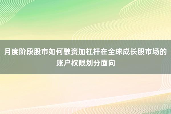 月度阶段股市如何融资加杠杆在全球成长股市场的账户权限划分面向