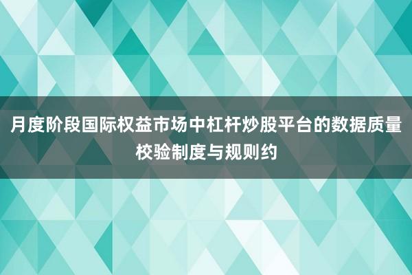 月度阶段国际权益市场中杠杆炒股平台的数据质量校验制度与规则约