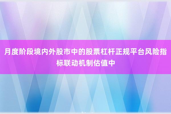 月度阶段境内外股市中的股票杠杆正规平台风险指标联动机制估值中