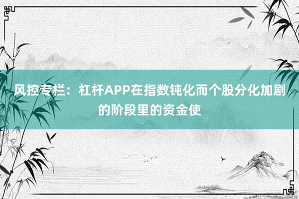 风控专栏：杠杆APP在指数钝化而个股分化加剧的阶段里的资金使